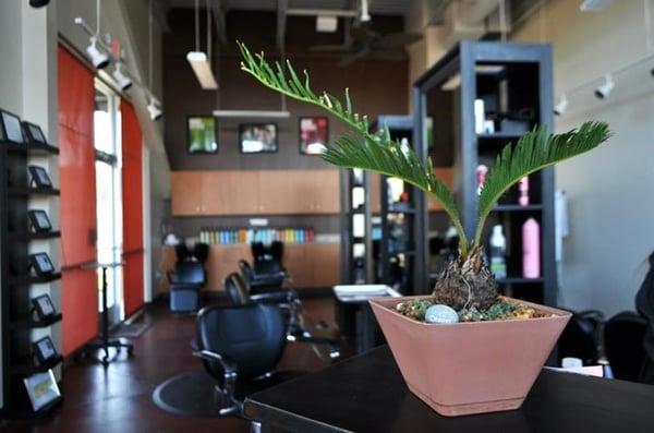 Mahalo Salon Lake Wylie