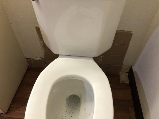 The toilet was completely jacked up not to mention the tiles falling off the wall. $230