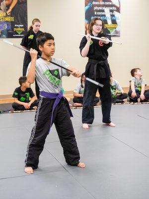 Premier Martial Arts Wylie