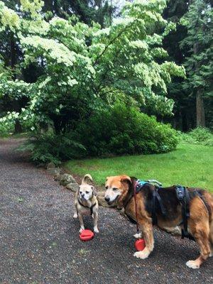 My boys at Jenkins Estate.