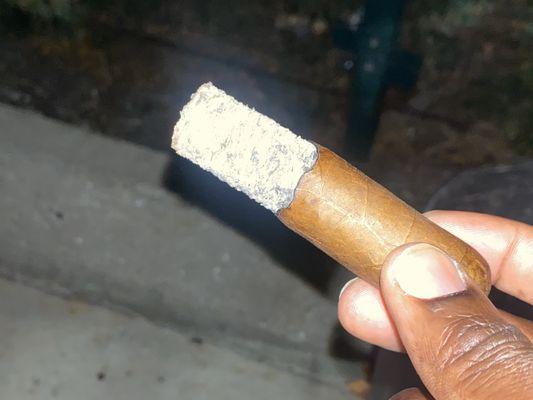 Gulf Coast Cigar