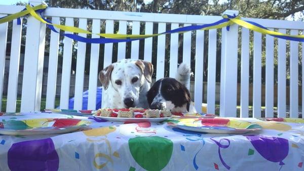 Fun birthday parties complete with personal invitations, homemade gourmet cake and lots of fun with friends.