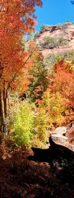 Oak Creek Canyon - fall colors