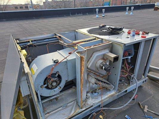 ROOFTOP REPAIR