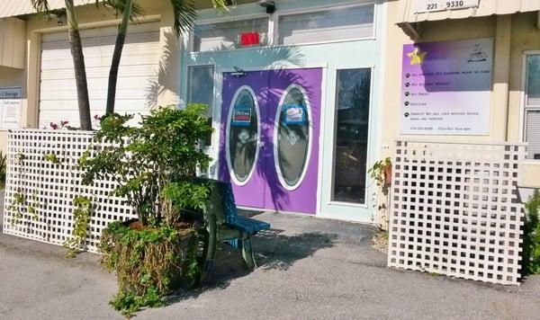 Purple Doors and a Palm tree in front