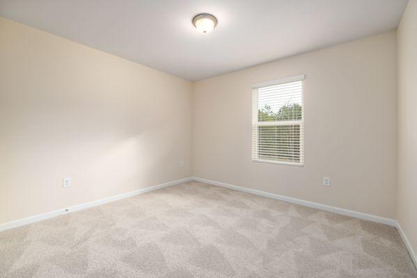 Room after carpet cleaning