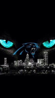 Go panthers