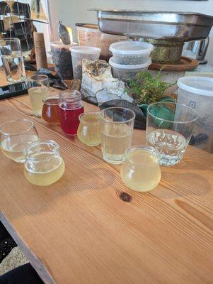 Kombucha flight