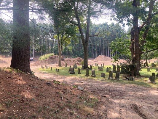 The cemetery has annihilated a gorgeous urban forest