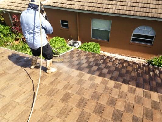 Our roof cleaning services provide clear, immediate results, plus are guaranteed to last!