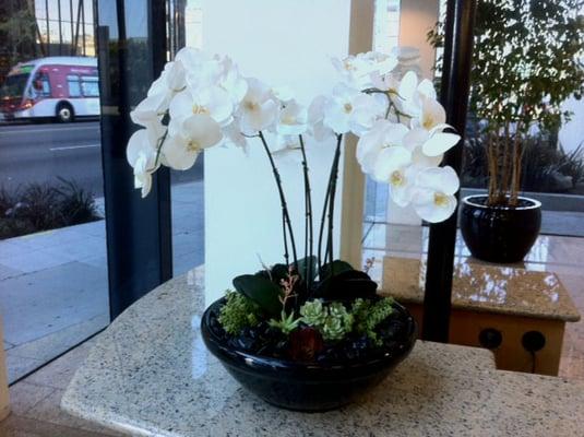 faux-orchid arrangement