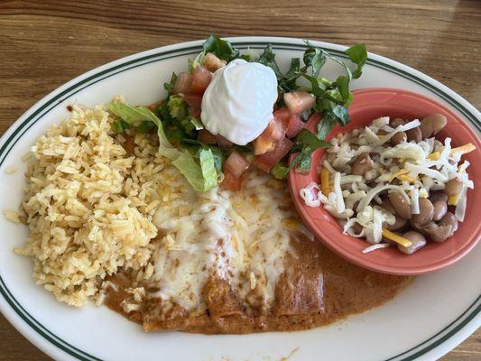 Creamy Chipotle enchiladas. So. Good.