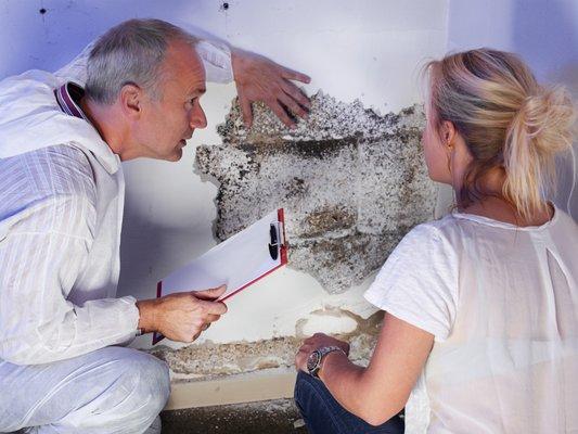 Get Rid of Mold without destroying your home.