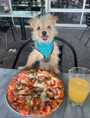 Margarita pizza