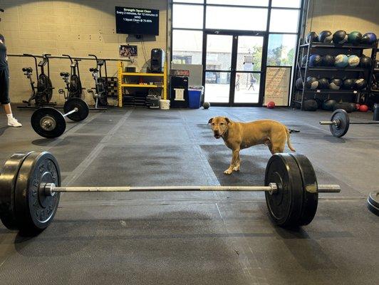 CrossFit Center City