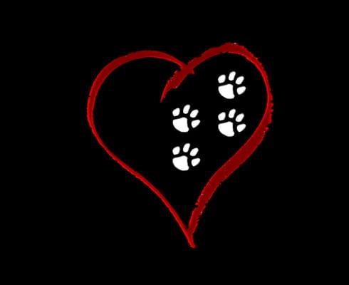 Four Loving Paws Veterinary Services