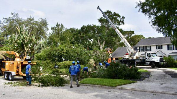 Kevin's Tree Service