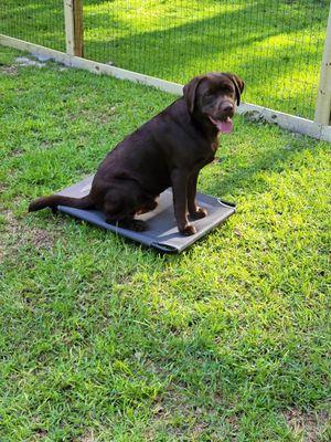 Dug, sending to place in a sit method.