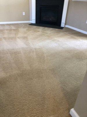 Carpet Cleaning