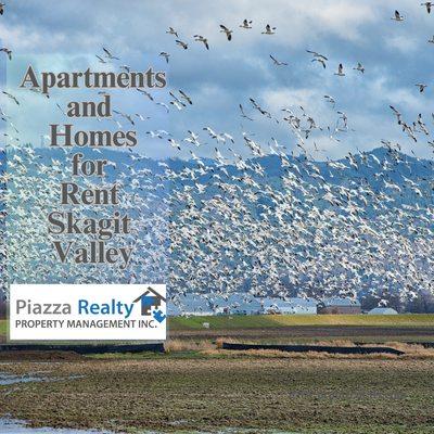 Rentals in Skagit Valley