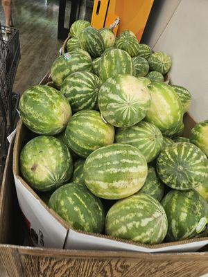 Perfect season for fresh melons