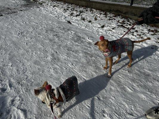 Matching outfits makes this cold walk better.