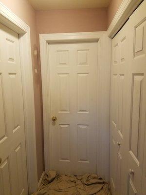 Before Hallway Wall & Door Painting in Telford, PA