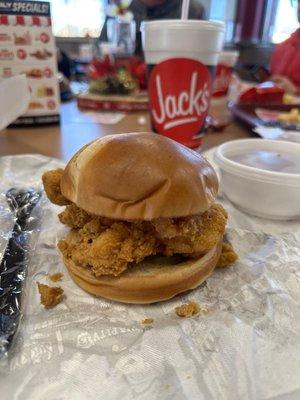 Chicken sandwich