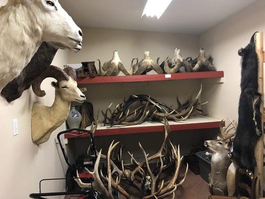 Buying or selling antlers