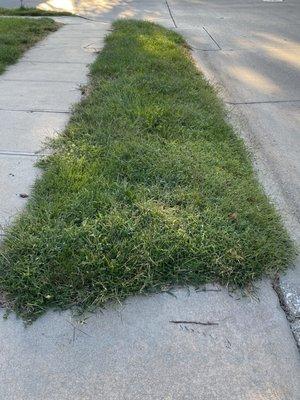 Elkhorn Lawn Care