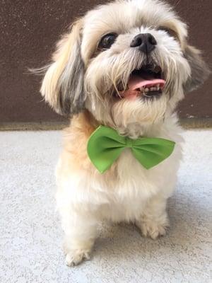 Bosley is ready to slay women left and right  (excuse his wet beard)