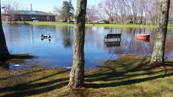 Water is high in the pond.