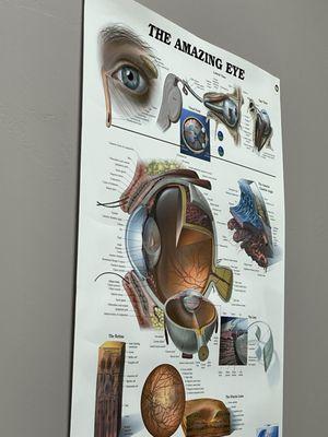 Circle Of Life Eyecare Center