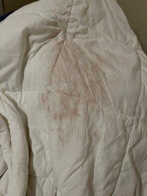 Hair dye that bled onto my comforter night of.