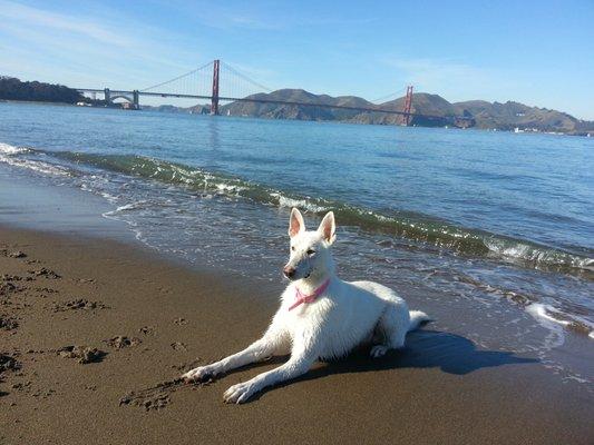 Venta at 1 yr old in San Francisco