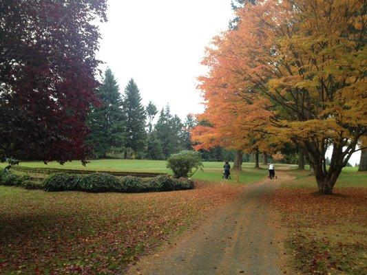 Fall colors at Meadowmeer Golf & Country Club. Golfers walking from 9th tee toward the clubhouse.