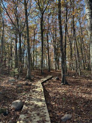 Wolf Hill Forest Preserve