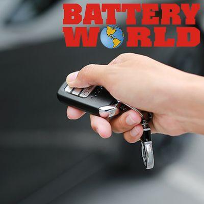 Battery World