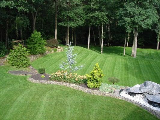 Commercial Lawn Care Programs - Business