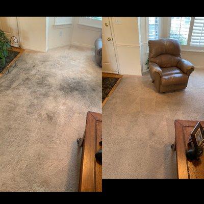 Carpet Cleaning