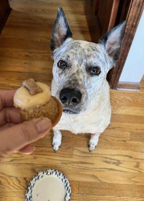 She loved the pupcakes on her birthday!