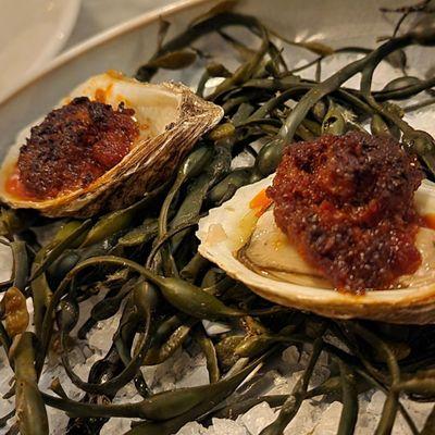 Grilled oysters with pretzel and nduja