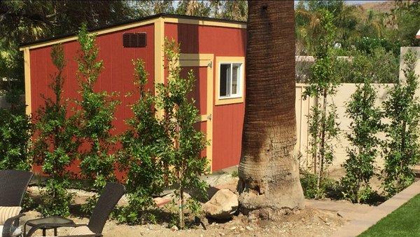 Kinda hidden in the corner behind new hedge and old tree. So cool I kinda wish I hadn't hidden it!