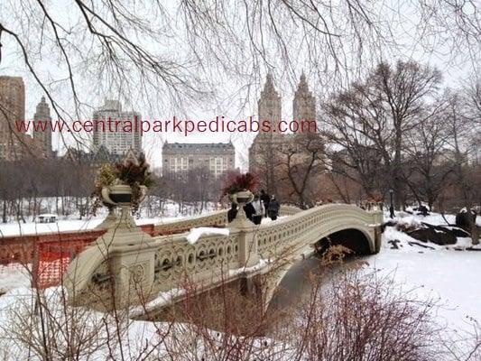 Winter, The Bow Bridge, Pedicab Tour Stop