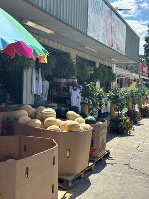 Melons, hanging fern, hibiscus, fresh fruit all right at the entrance.