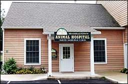 Marbletown Animal Hospital