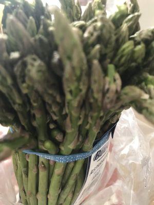 Asparagus Pens.