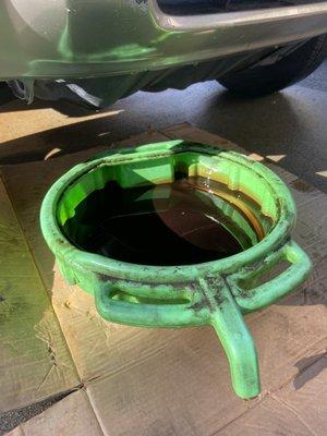 My drained oil