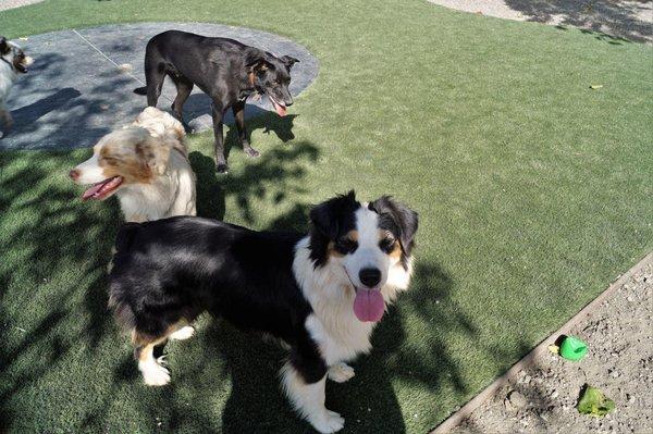 Splash-pad fun!