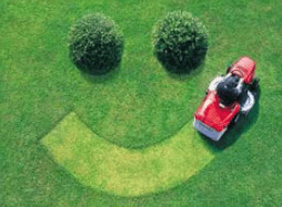 Larry Colliver will make your lawn Happy!